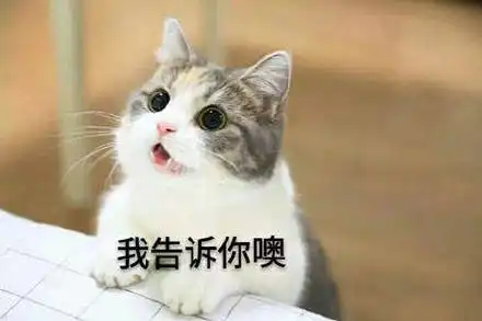 撩妹超甜表情包沙雕