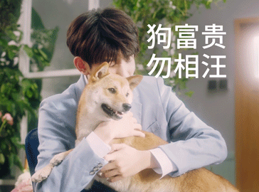 小花源表情包小王紫出炉大家行动起来一起get源源发香