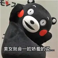 微信熊本熊带字表情包从古至今全都是套路