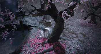 周末,江阴这个地方有个桃花趴还能看到夜华