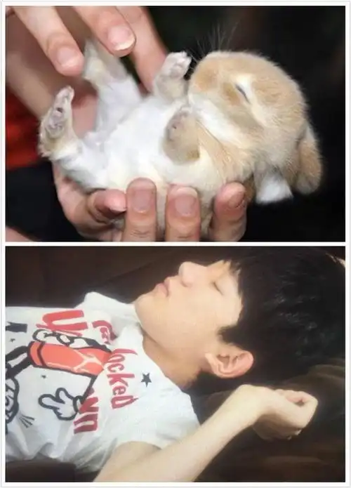 tfboys分享191214王源和兔子同款姿势,一模一样可爱到炸裂