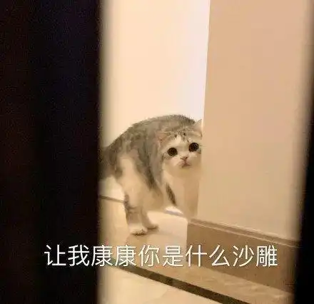 这张图告诉我们,千万不要穿着婚纱逃婚