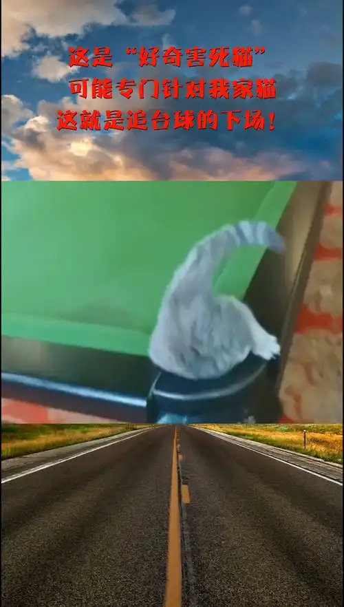 这是好奇害死猫,可能专门针对我家猫,这就是追台球的下场