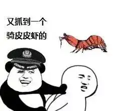爆红的皮皮虾,我们走到底是什么鬼