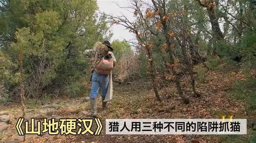 好奇害死猫表情包gif山