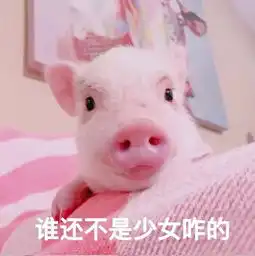 表情包可爱的女孩子狗子