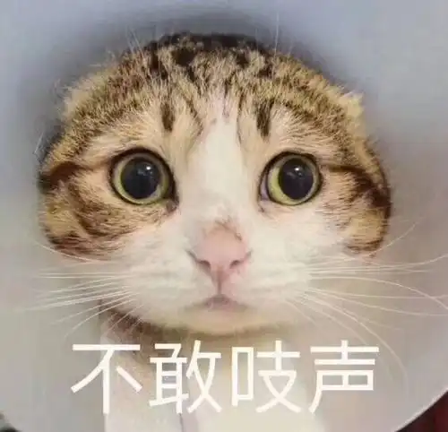 开心一笑同事陪老婆体检,高兴地看着胎儿照,大夫突然对爸爸说孩子不是你的