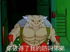 这部90后老年人的童年动画,竟被傻缺表情包带火了