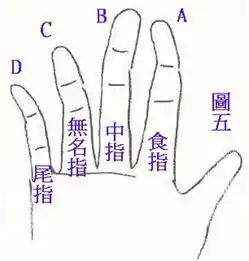 通过手指阅人的方法步骤