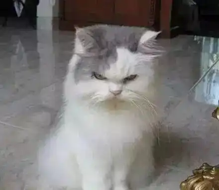 给你一组户外表情包,憋住不许笑