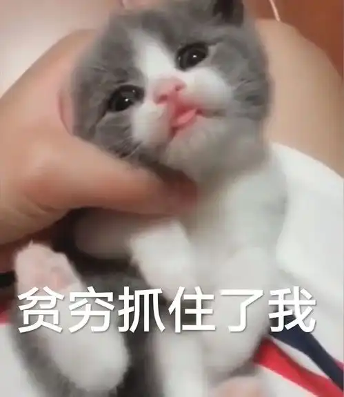 爆笑表情包大全开心一笑