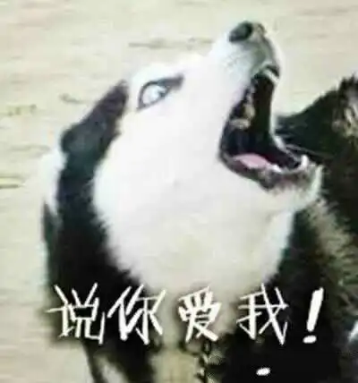 被生活所迫的表情包哈哈