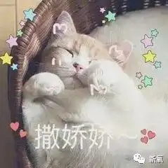 蔡少芬撒娇吓呆张晋,这位却搞定无数富豪