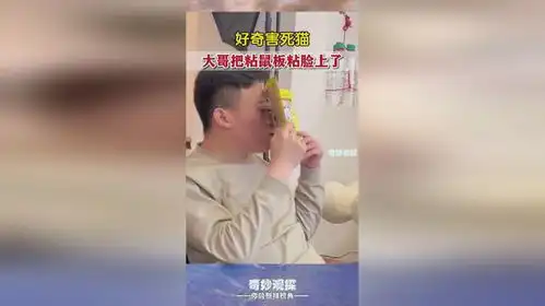 辽宁好奇害死猫大哥把粘鼠板粘脸上了