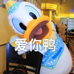 萌新秀嘘这是我的假期修炼手册