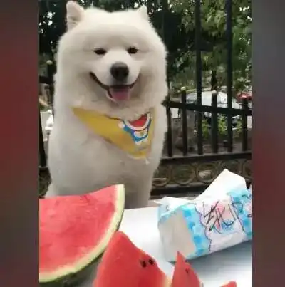 摩耶出来摆摊卖西瓜,男子试吃完看到纸巾上的字这不是坑人吗