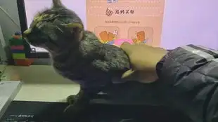 终于到了足不出户就为社会做贡献的时候了