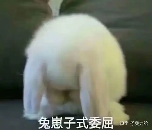 扎心表情包臀部