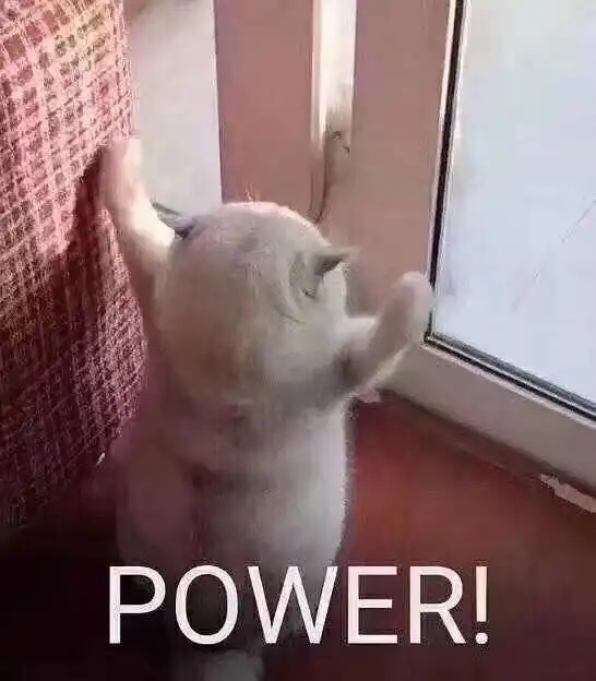 俺妹黑猫表情包波兰