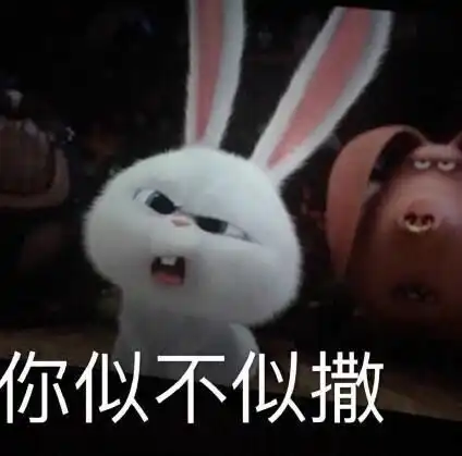 赵丽颖的兔子为什么叫小白谁起的名字