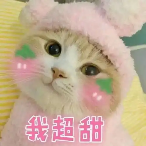 谈恋爱吗学习带飞的那种
