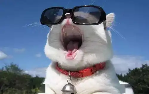 憋笑的表情包户外