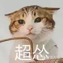 严重警告驱蚊装备用不对,猫咪猫奴两行泪