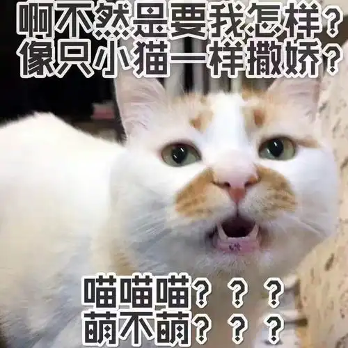 烊烊