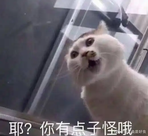 很久之后才知道当时也是crush的crush有结局了嗷