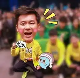 李晨表情包欧美