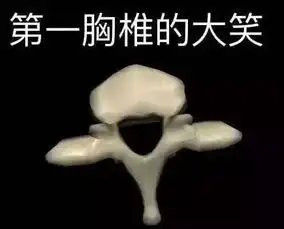各专业表情包,击中你的表情库了么