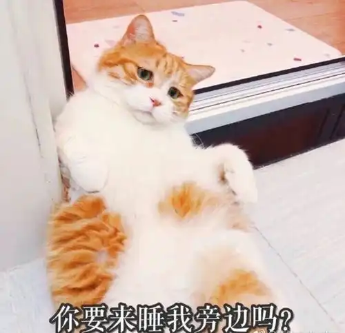 可爱表情包快拿去和你的男女朋友撒娇