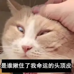 晨练有惊喜两民警公园晨跑,随手抓了个小偷