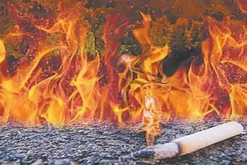 济南,某小区1楼住宅深夜发生火灾,致祖孙3代4人死亡,太惨烈可燃物逃生报警器网易订阅