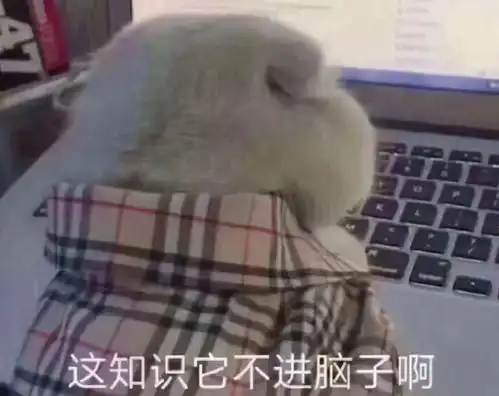 15周的幼儿园,加3周的高三,这是谁的大学生活
