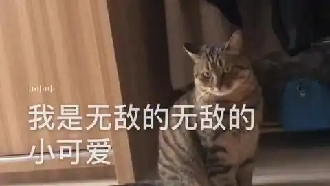 小可爱承包了我一天的快乐