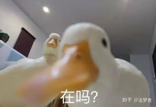 学前教育专业专升本大概会考哪些东西想考的话需不需要报教育机构现阶段在专科要着重学好哪些课