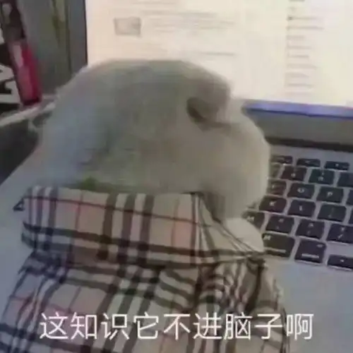 虎哥表情包我tm来了困了
