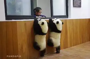 感谢大家的祝福表情包熊