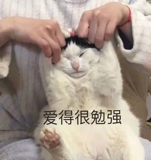 喵星人表情包真让猫头秃