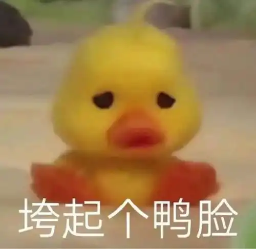 拒捕表情包鸡头