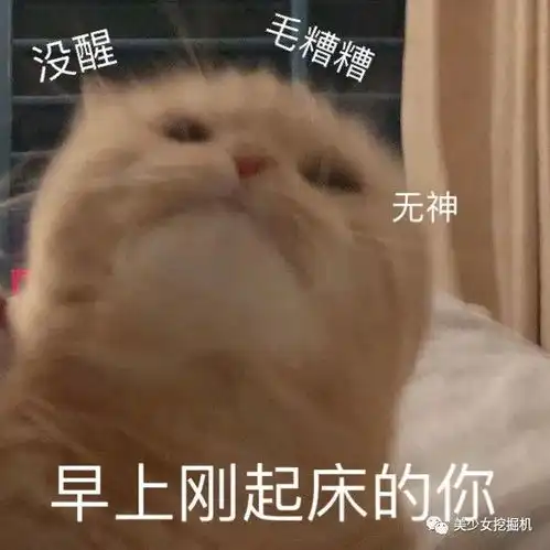 头像表情包大户,全网萌宠顶流,每天都有百万明星粉丝催更