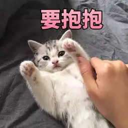 你手机里最舍不得删除的照片,有着怎样的回忆
