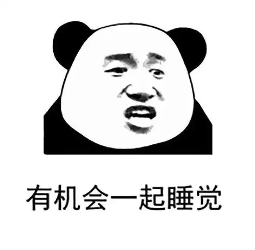 今日份表情包