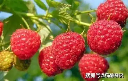 认清自己并不好玩,道理都懂,可身体却不听指挥