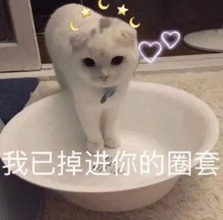 搞笑表情包图片笑到六亲不认,你见过吗