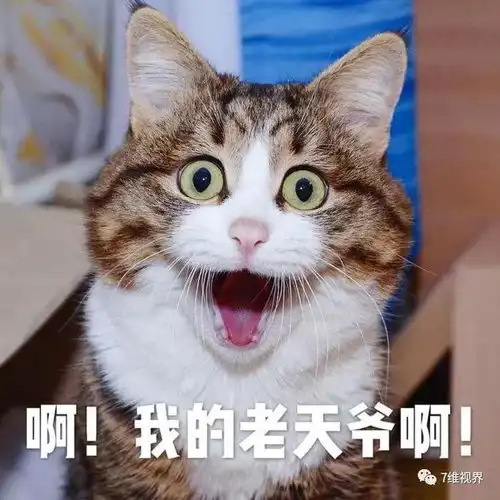 变态五旬老汉火车上猥亵帅气男大学生,拘