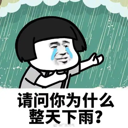 闪亮登场图片表情包暴雨