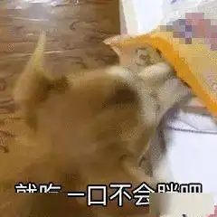 100个沙雕有趣的搞笑表情包