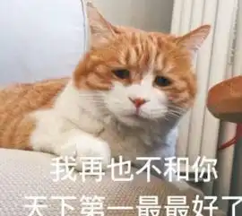 你若不认罪,橘猫没人喂,主人犯错误,大橘两行泪